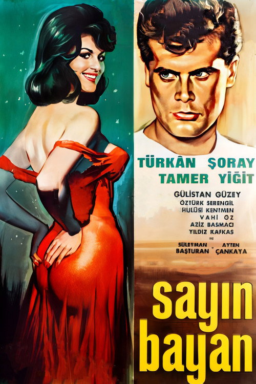 Póster de Sayın Bayan