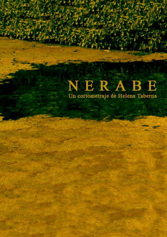 Póster de Nerabe
