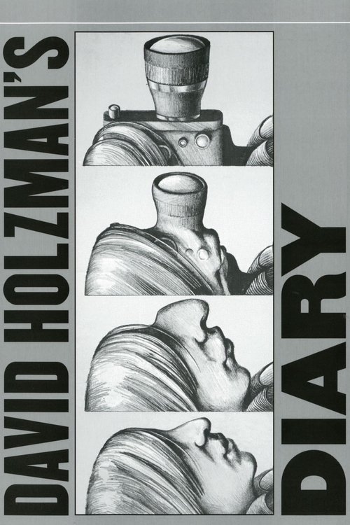 Póster de David Holzman's Diary