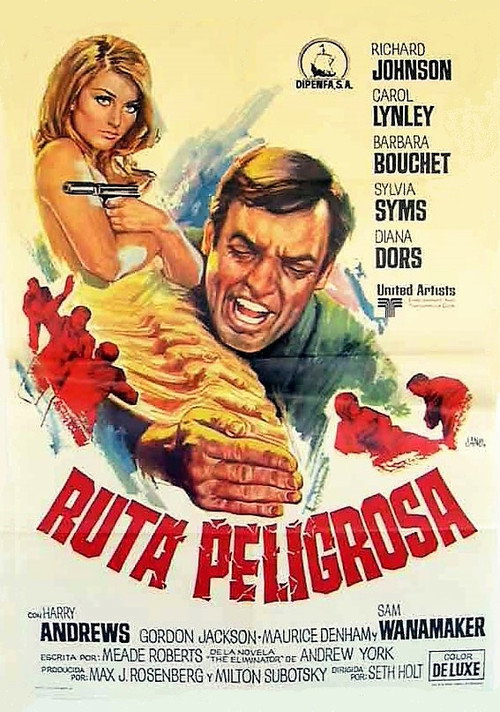 Póster de Danger Route
