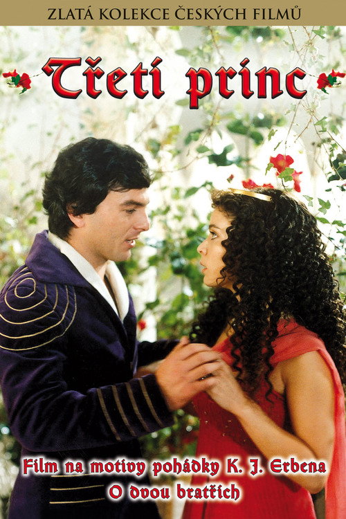 Póster de Třetí princ