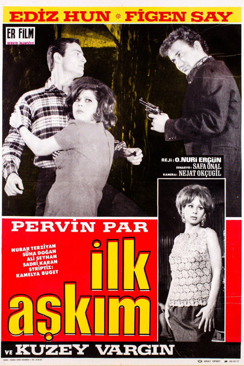 Póster de İlk Aşkım