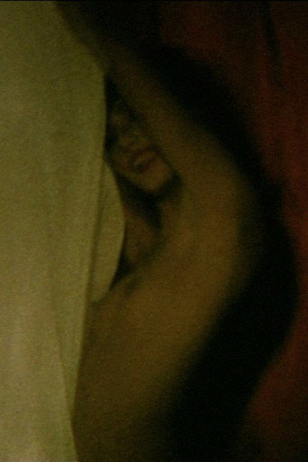 Póster de Compulsive Viewing: The Films of Guy Bourdin