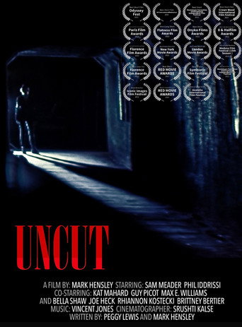 Póster de Uncut