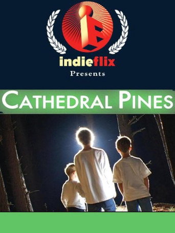 Póster de Cathedral Pines