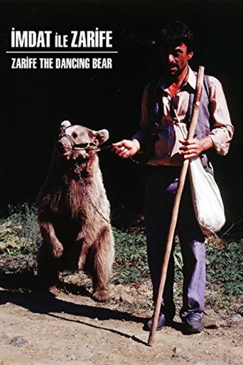 Póster de İmdat ile Zarife