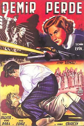Póster de Demir Perde
