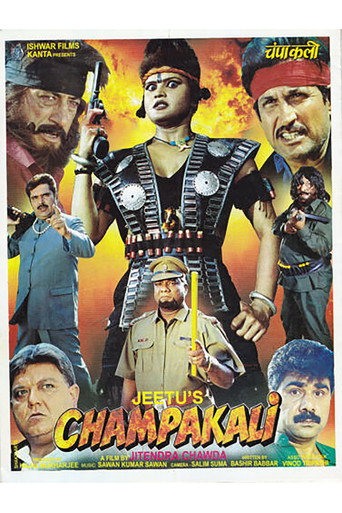 Póster de Champakali