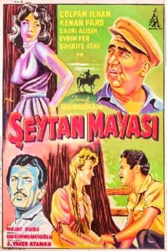 Póster de Şeytan Mayası