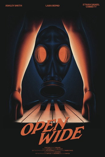 Póster de Open Wide