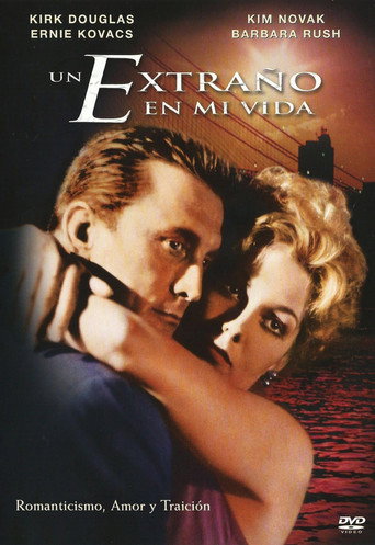 Póster de Strangers When We Meet