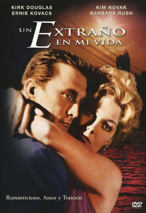 Póster de Strangers When We Meet