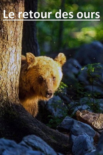 Póster de Le retour des ours