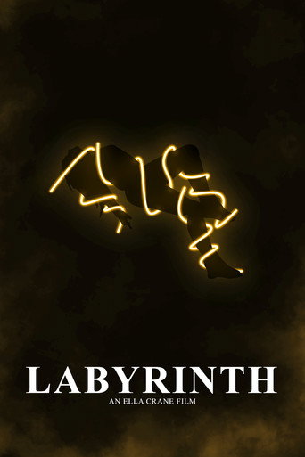 Póster de Labyrinth