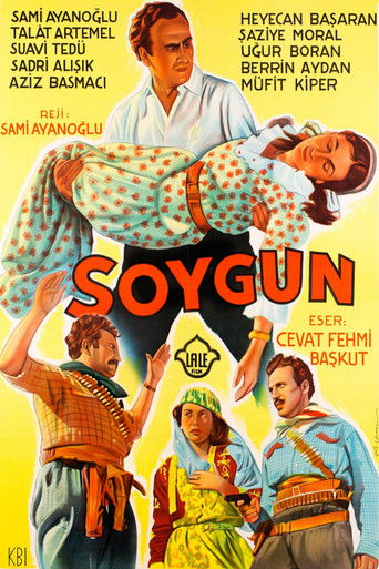 Póster de Soygun