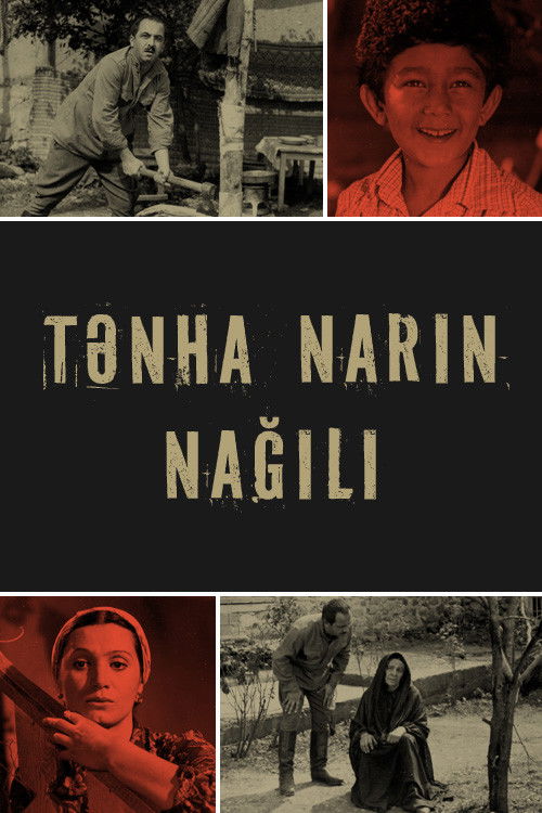 Póster de Tənha Narın Nağılı