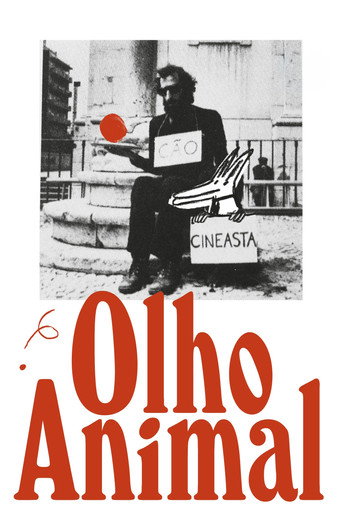Póster de Olho Animal