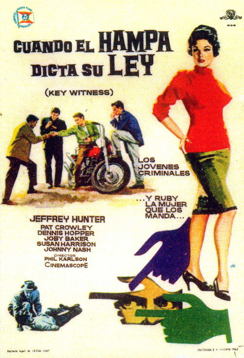 Póster de Key Witness