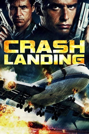 Póster de Crash Landing