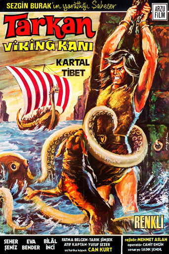 Póster de Tarkan: Viking Kanı