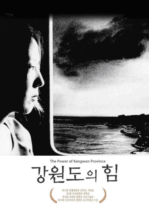 Póster de 강원도의 힘