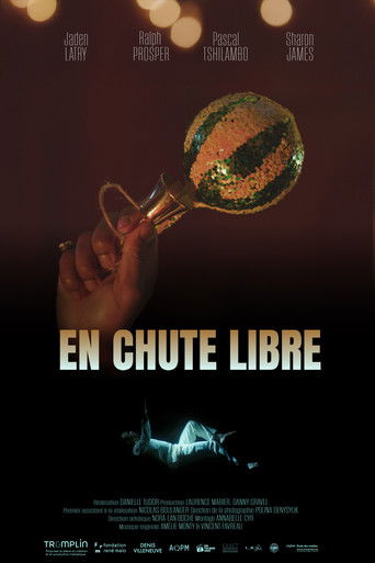Póster de En chute libre