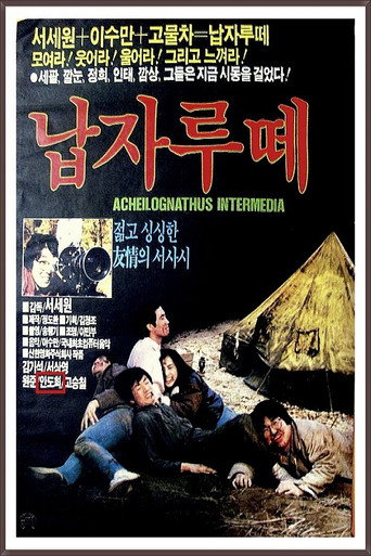 Póster de 납자루떼