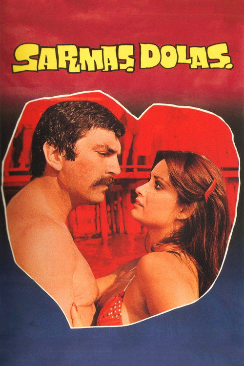 Póster de Sarmaş Dolaş
