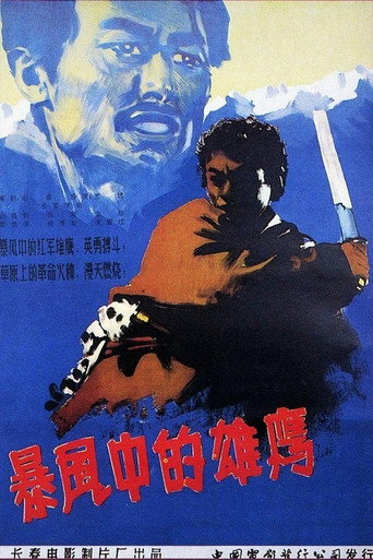 Póster de 暴风中的雄鹰