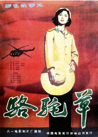 Póster de 骆驼草