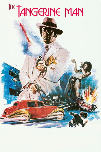 Póster de The Candy Tangerine Man