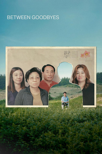 Póster de Between Goodbyes