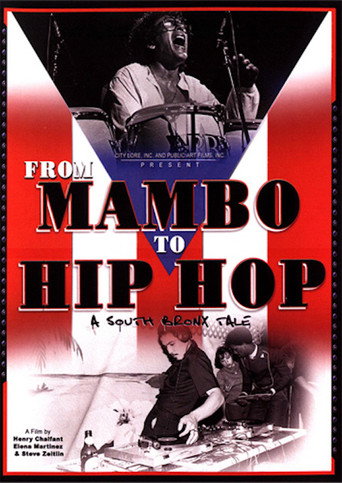 Póster de From Mambo to Hip Hop