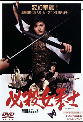 Póster de 必殺女拳士