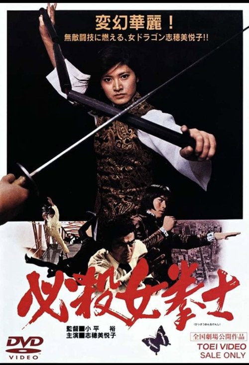 Póster de 必殺女拳士