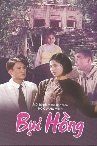 Póster de Bụi Hồng