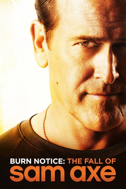 Póster de Burn Notice: The Fall of Sam Axe