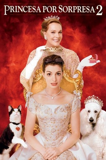 Póster de El Diario De La Princesa 2
