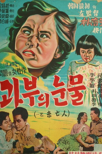 Póster de 미망인