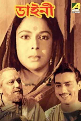 Póster de ডাইনী