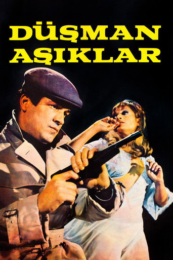 Póster de Düşman Aşıklar