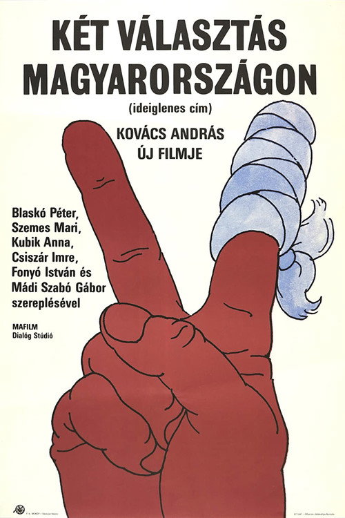 Póster de Valahol Magyarországon