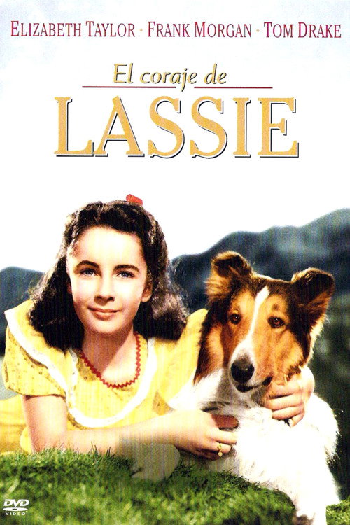 Póster de El valor de Lassie
