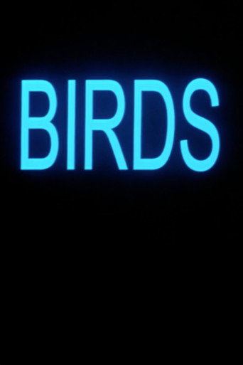 Póster de Birds