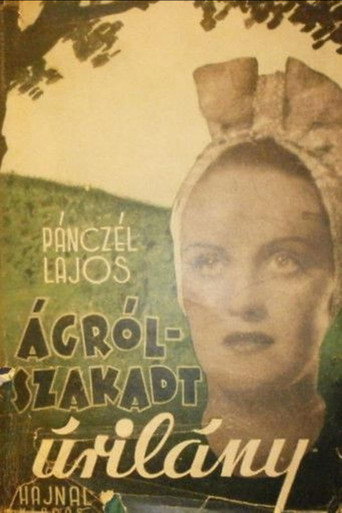 Póster de Ágrólszakadt úrilány