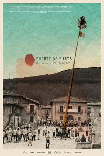 Póster de Suerte de pinos