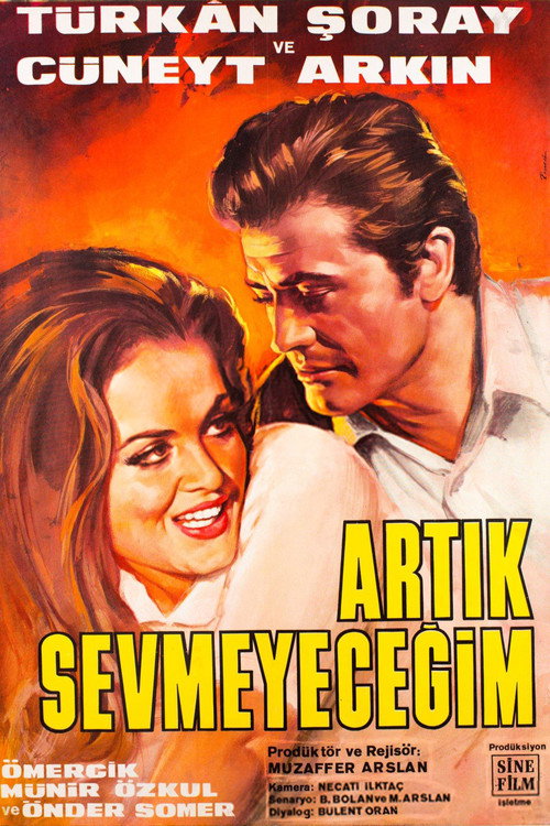 Póster de Artık Sevmeyeceğim