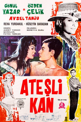 Póster de Ateşli Kan
