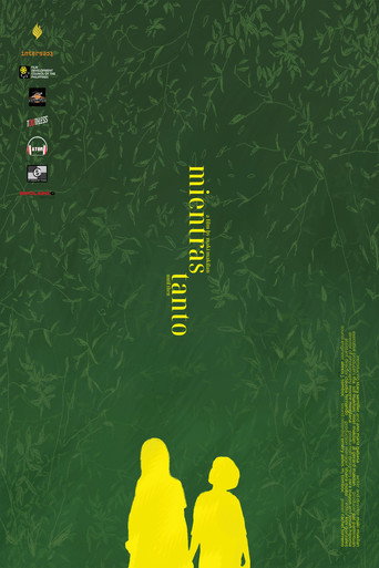 Póster de mientras tanto