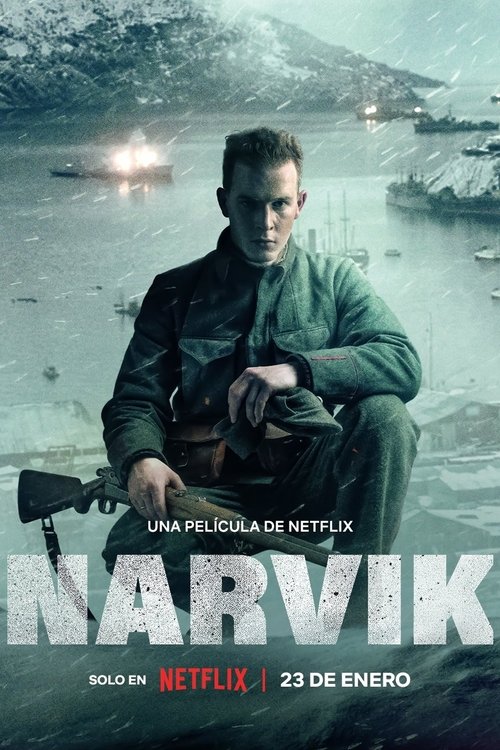 Póster de Narvik
